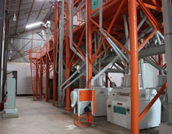 100T Maize flour mill in Tanzania