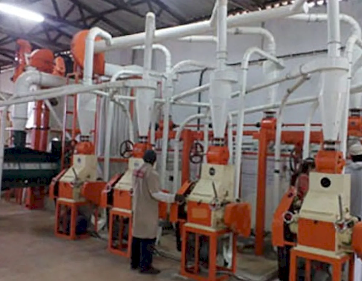 20T Maize Flour Mill in Mozambique